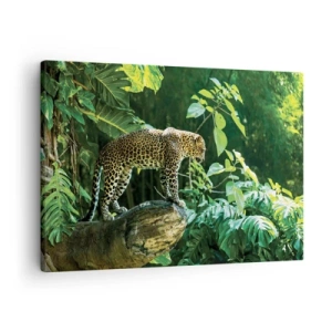Cuadro sobre lienzo - Impresión de Imagen - Un leopardo de pie sobre una roca rodeado de vegetación tropical. - 70x50cm - ¿A la caza? - Decoración de pared moderna para salón y dormitorio ARTTOR