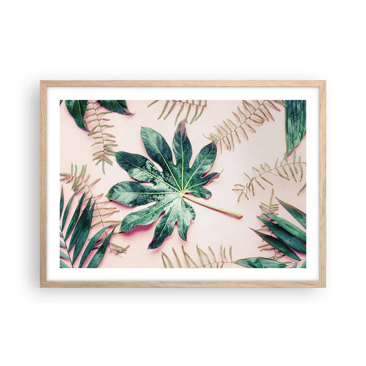 Póster en marco roble claro - Estudio de vegetación sobre fondo rosa - 70x50 cm