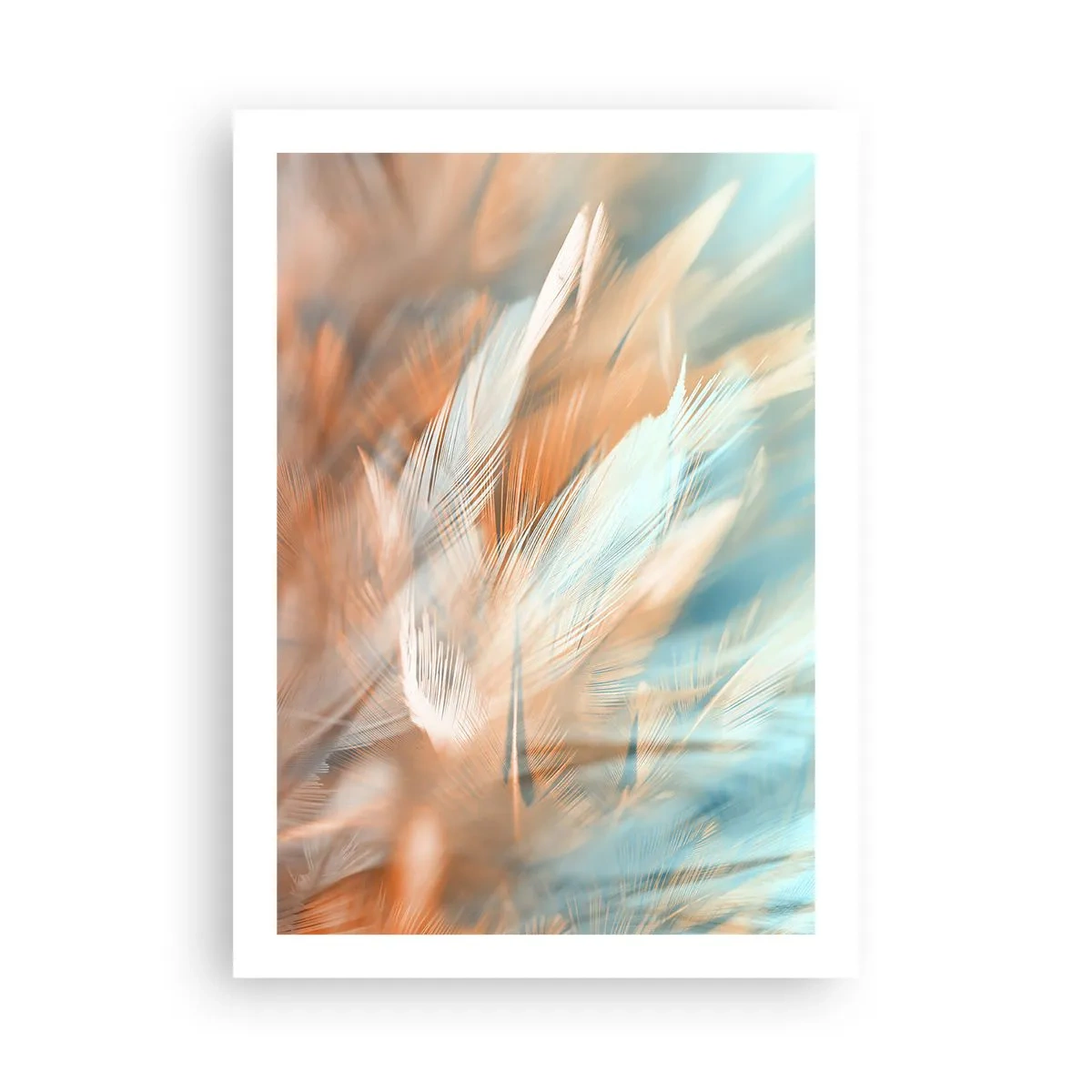 Póster - Delicadas plumas en tonos azul y melocotón. - 50x70cm - En la tierra de la suavidad - Decoración de pared moderna para salón y dormitorio ARTTOR