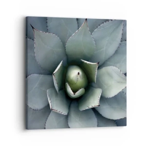 Cuadro sobre lienzo - Impresión de Imagen - Perfección natural - 30x30 cm