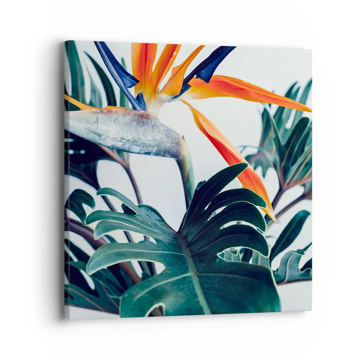 Cuadro sobre lienzo - Impresión de Imagen - La jaula del pájaro colorido - 40x40 cm