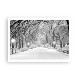 Póster - Un callejón invernal con árboles cubiertos de nieve en monocromo. - 100x70cm - Cuatro estaciones - invierno - Decoración de pared moderna para salón y dormitorio ARTTOR