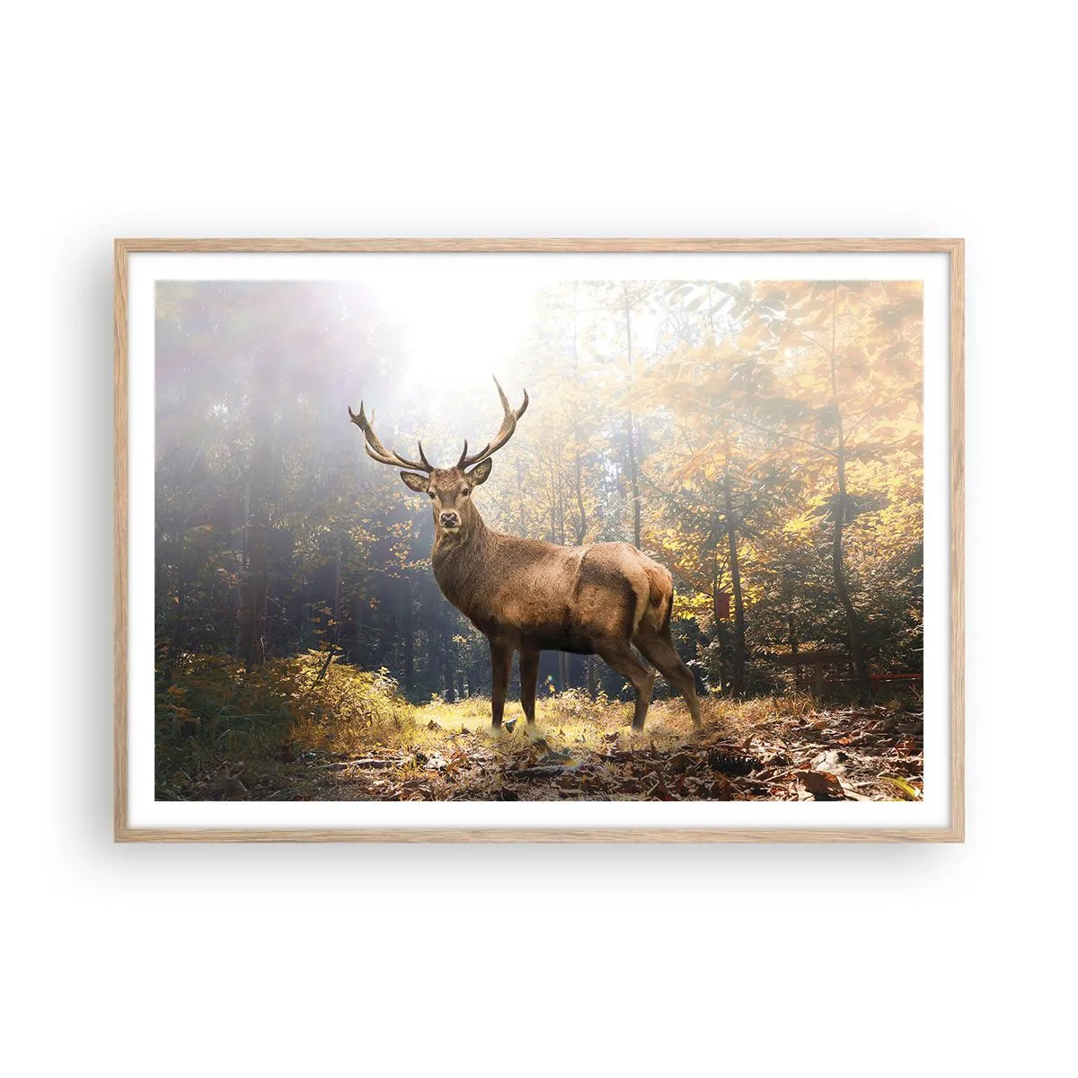 Póster en marco roble claro - Con toda la majestuosidad - 100x70 cm
