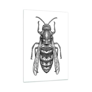 Cuadro sobre vidrio - Impresiones sobre Vidrio - Un motivo de avispa de dibujos animados sobre un fondo blanco en un estilo minimalista. - 70x100cm - Desde un planeta de insectos - Decoración de pared moderna para salón y dormitorio ARTTOR