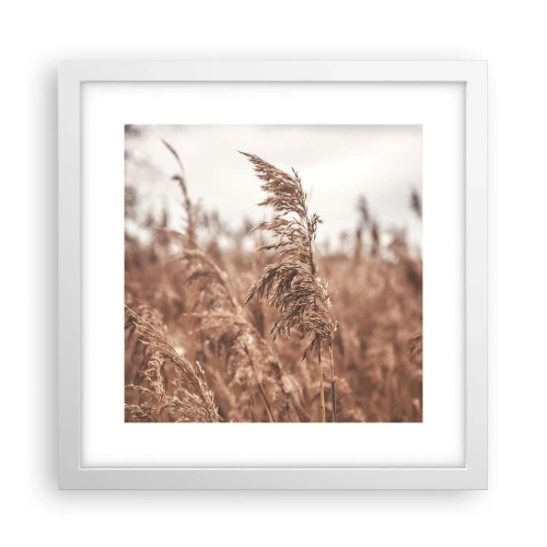 Póster en marco blanco - El otoño ya está en los campos - 30x30 cm