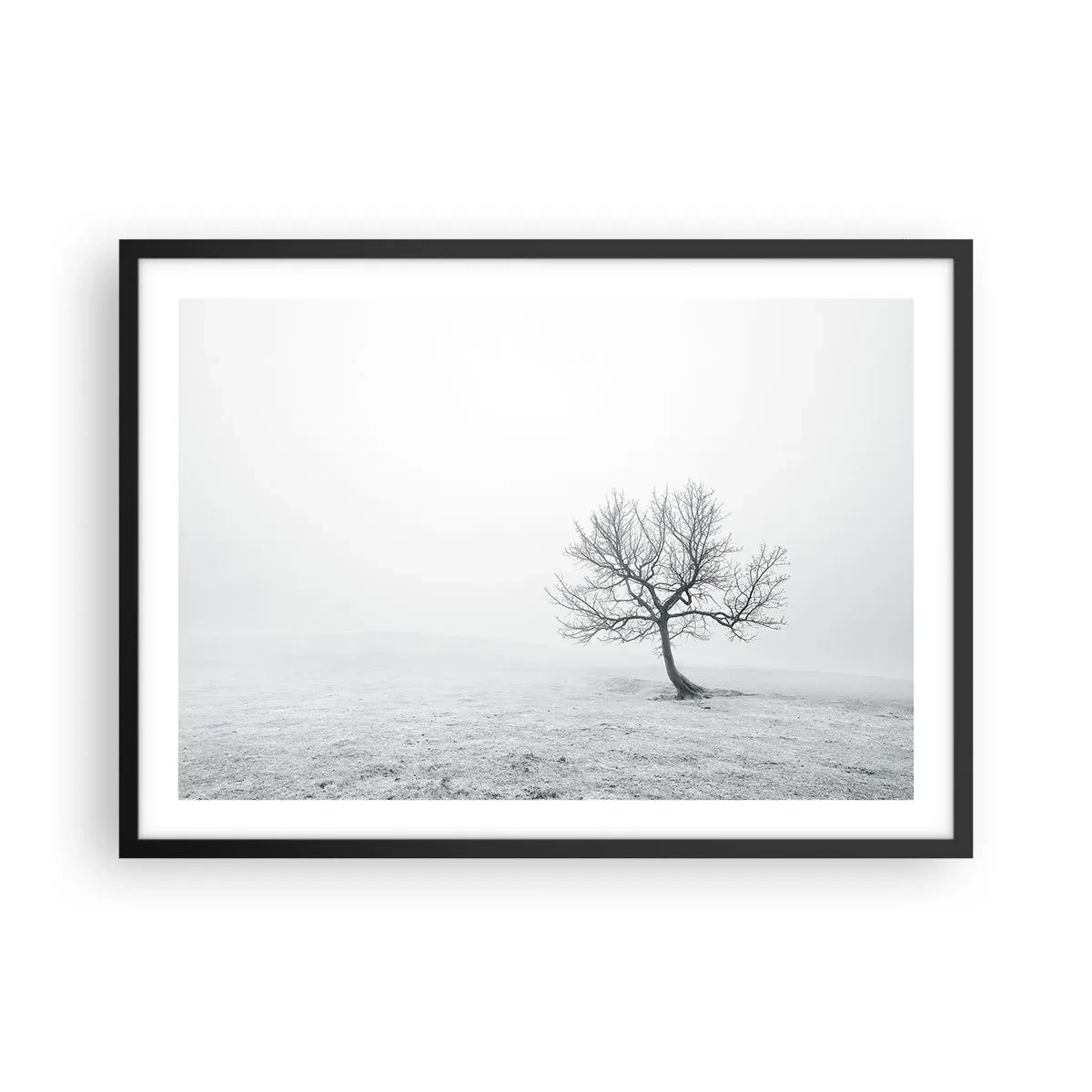 Póster en marco negro - Un árbol solitario en la niebla invernal en un campo vacío. - 70x50cm - Contra la nada - Decoración de pared moderna para salón y dormitorio ARTTOR