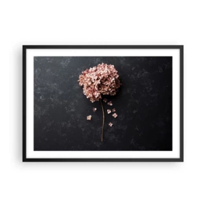 Póster en marco negro - Una delicada flor de hortensia sobre un fondo oscuro. - 70x50cm - Un signo verdaderamente romántico - Decoración de pared moderna para salón y dormitorio ARTTOR