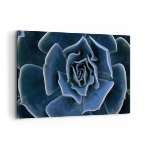 Cuadro sobre lienzo - Impresión de Imagen - Primer plano de una roseta suculenta verde - 100x70cm - Flor del desierto - Decoración de pared moderna para salón y dormitorio ARTTOR