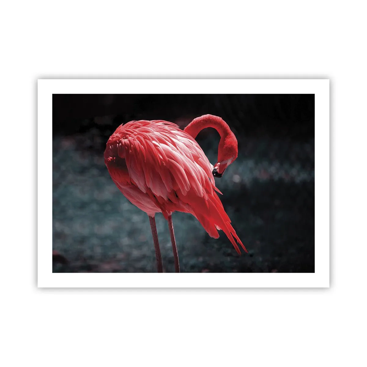 Póster - Un poema carmesí de la naturaleza - 70x50 cm