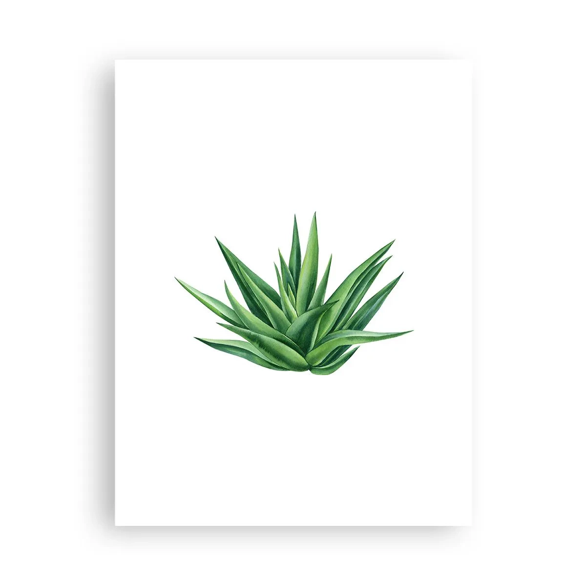 Póster - Verde - fuerza - vida - 30x40 cm