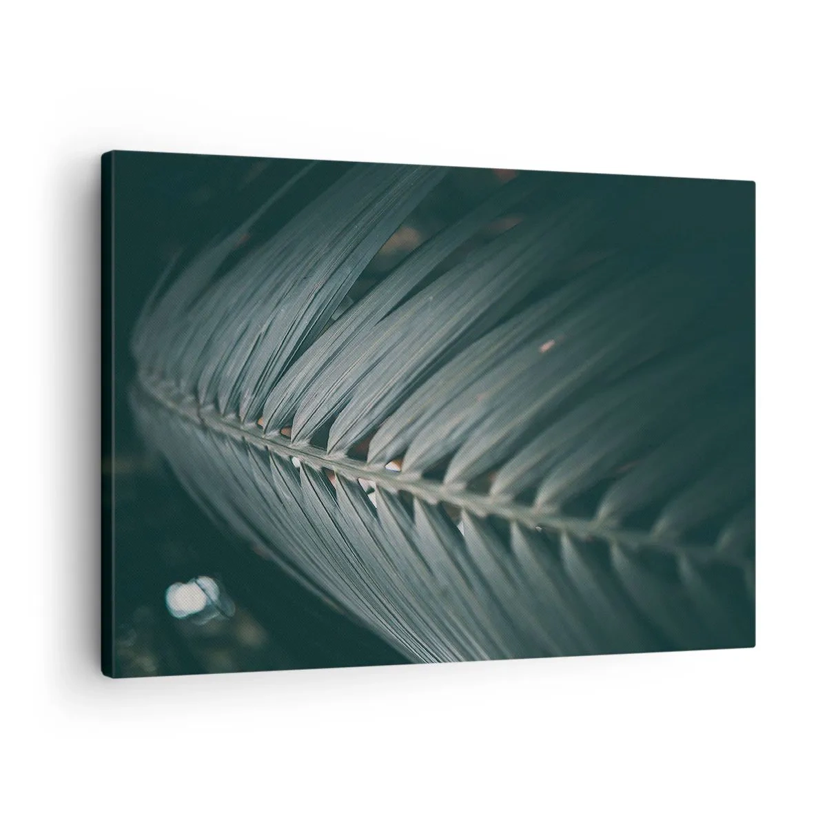 Cuadro sobre lienzo - Impresión de Imagen - Primer plano de un detalle de hoja de palma en tonos oscuros - 70x50cm - La precisión de la naturaleza - Decoración de pared moderna para salón y dormitorio ARTTOR