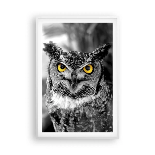 Póster en marco blanco - Nada se puede ocultar - 61x91 cm