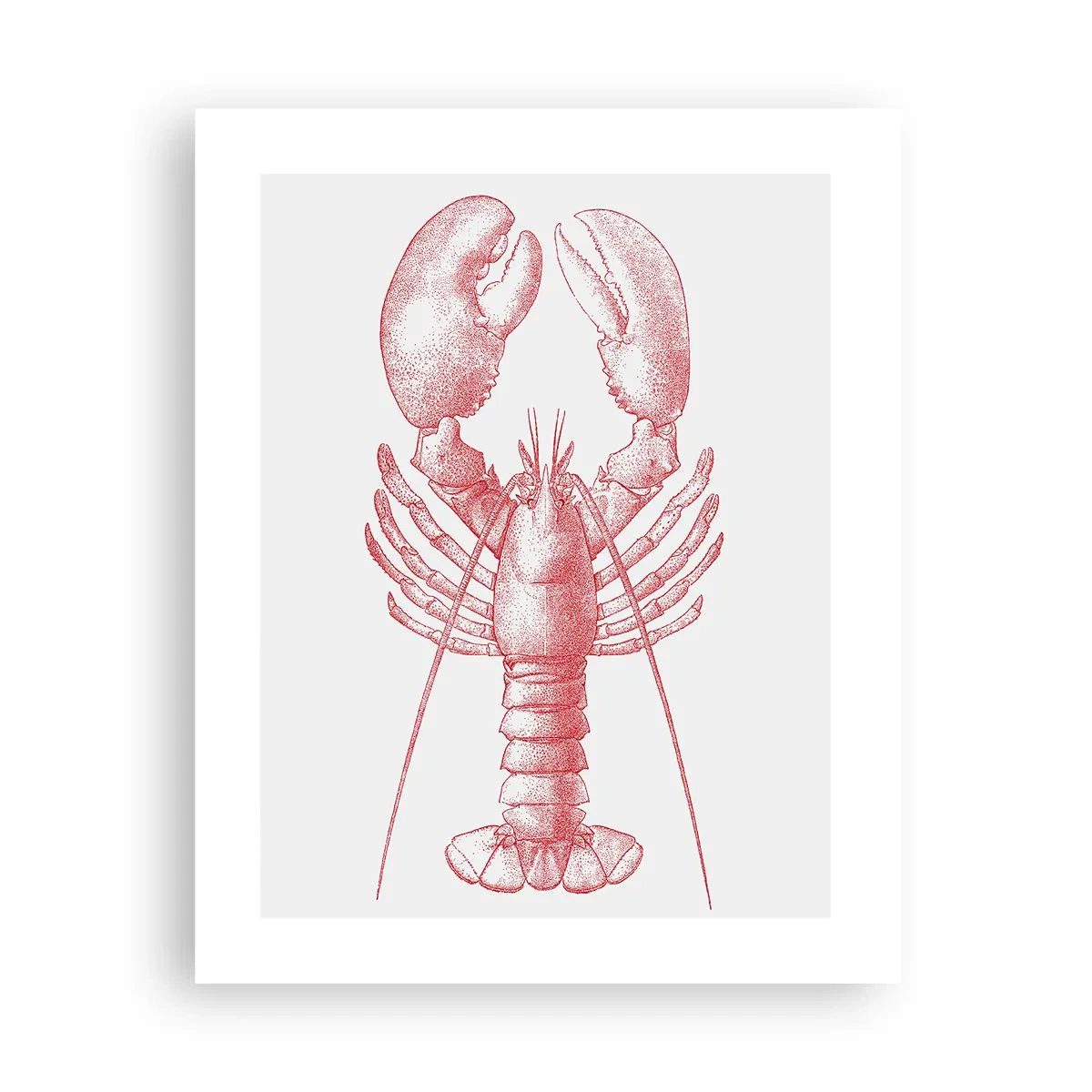 Póster - La reina de los fondos rocosos - 40x50 cm
