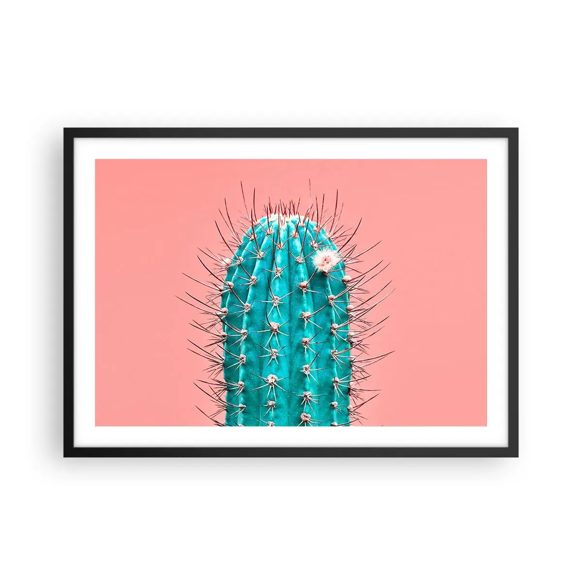 Póster en marco negro - Una versión artística de un cactus sobre un fondo rosa. - 70x50cm - Se mira, pero no se toca - Decoración de pared moderna para salón y dormitorio ARTTOR