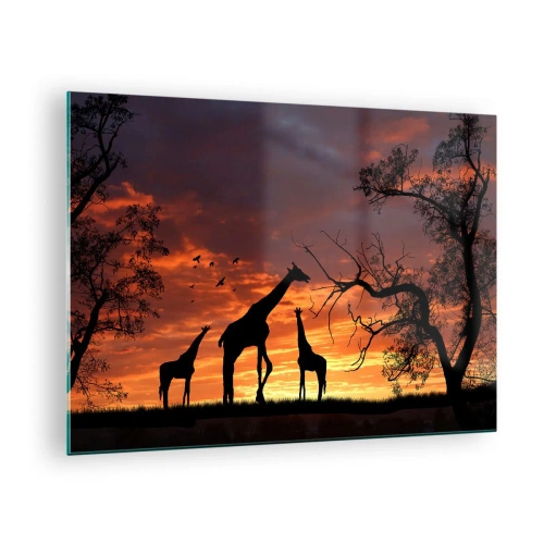 Cuadro sobre vidrio - Impresiones sobre Vidrio - Siluetas de jirafas con el telón de fondo de una puesta de sol en un paisaje africano - 70x50cm - Una pequeña cena con tus seres queridos - Decoración de pared moderna para salón y dormitorio ARTTOR