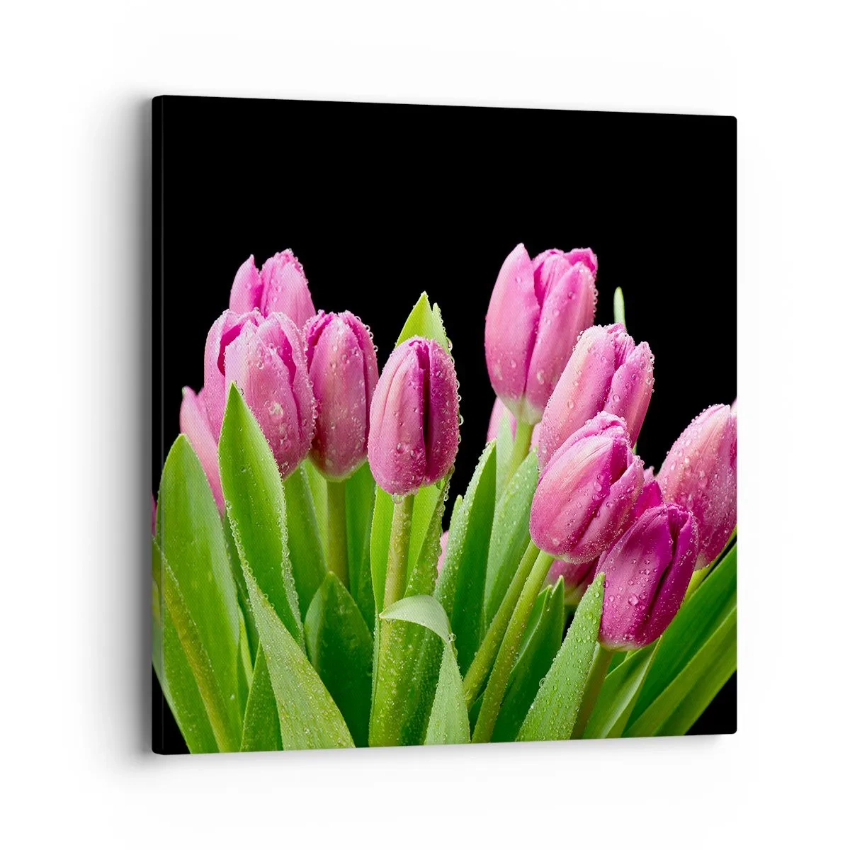 Cuadro sobre lienzo - Impresión de Imagen - La alegría de la primavera - 40x40 cm