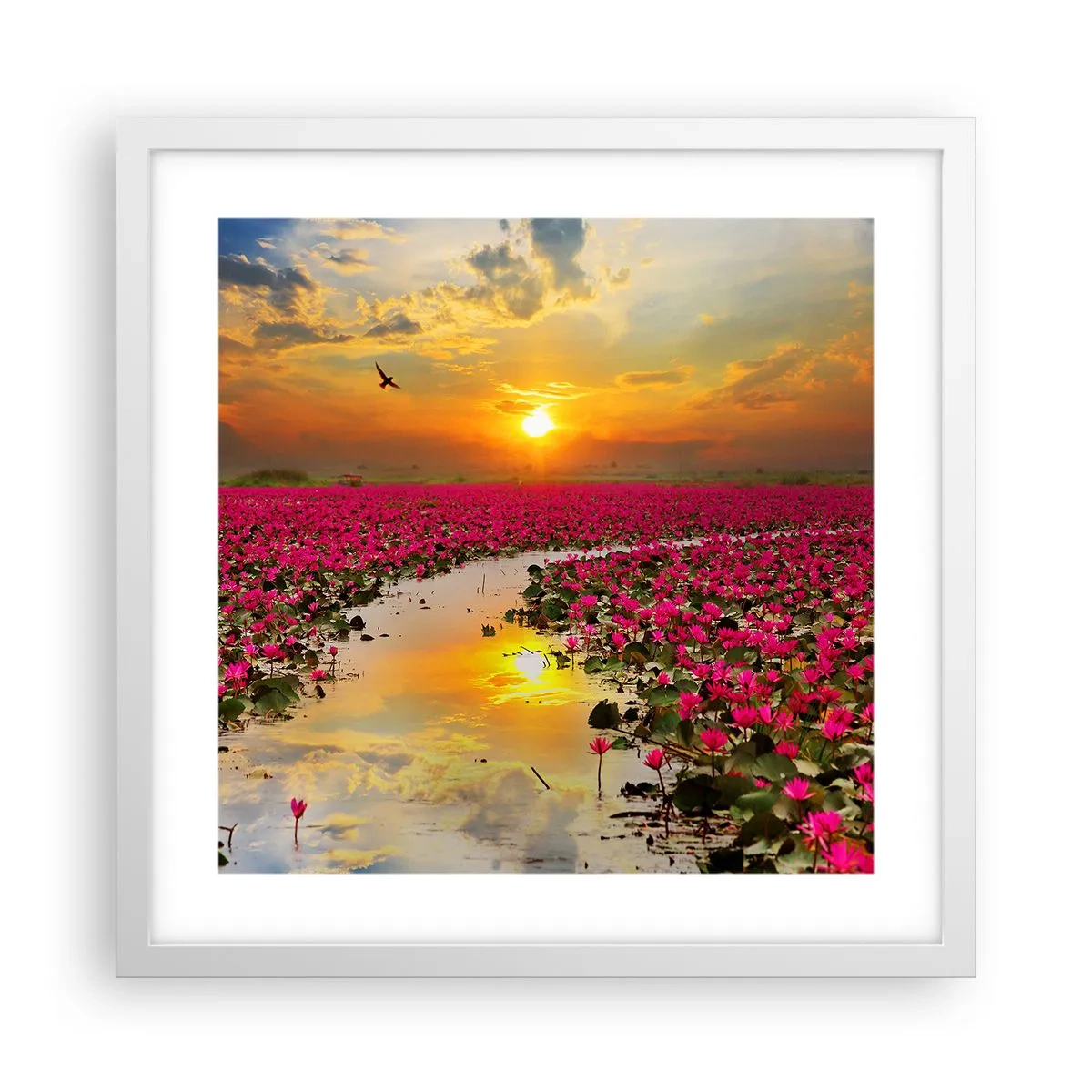 Póster en marco blanco - La vida secreta del lago - 40x40 cm