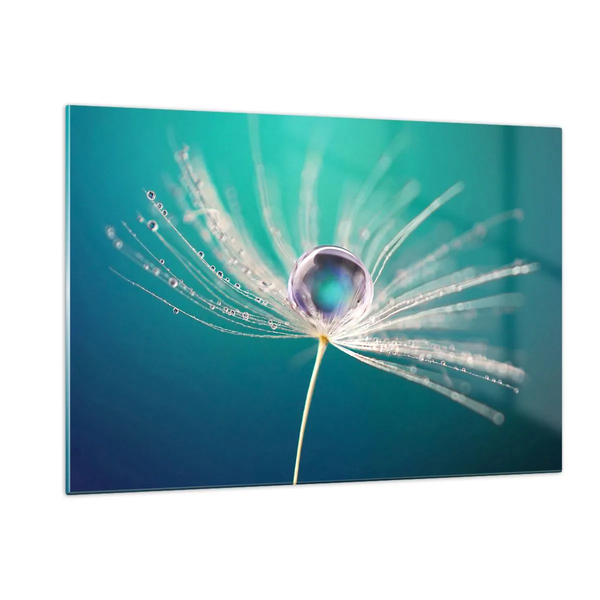 Cuadro sobre vidrio - Impresiones sobre Vidrio - Fotografía macro de una semilla de diente de león con una gota de rocío sobre un fondo turquesa. - 120x80cm - Momento místico - Decoración de pared moderna para salón y dormitorio ARTTOR