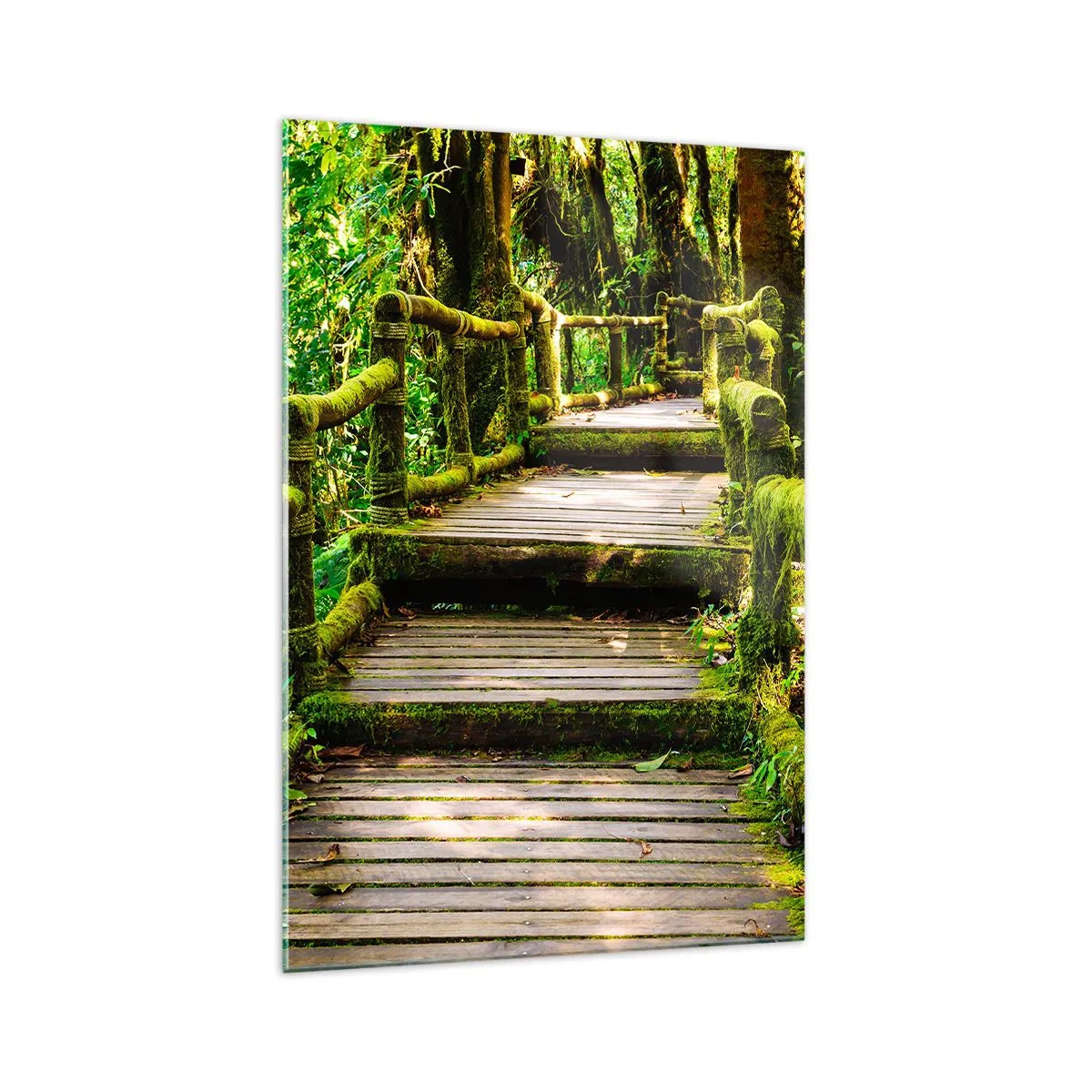 Cuadro sobre vidrio - Impresiones sobre Vidrio - Un puente de madera cubierto de musgo en una selva tropical. - 70x100cm - A través de un corredor verde - Decoración de pared moderna para salón y dormitorio ARTTOR