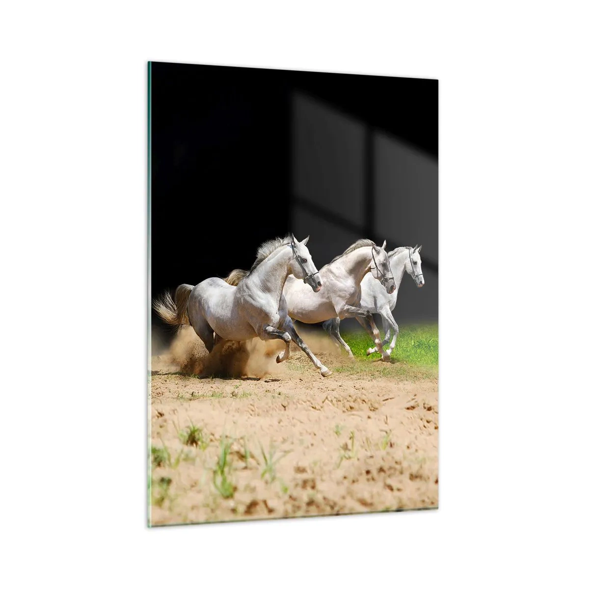 Cuadro sobre vidrio - Impresiones sobre Vidrio - Tres caballos blancos galopando por el suelo arenoso. - 50x70cm - Las tres Gracias - Decoración de pared moderna para salón y dormitorio ARTTOR