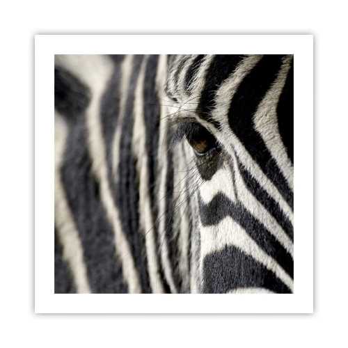 Póster - Retrato a rayas - 50x50 cm