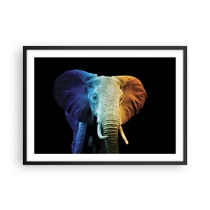 Póster en marco negro - Retrato de elefante en colores del arco iris - 70x50cm - Excéntrico, no un bicho raro - Decoración de pared moderna para salón y dormitorio ARTTOR