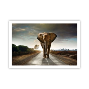 Póster - Y para nada en un almacén de porcelana - 91x61 cm