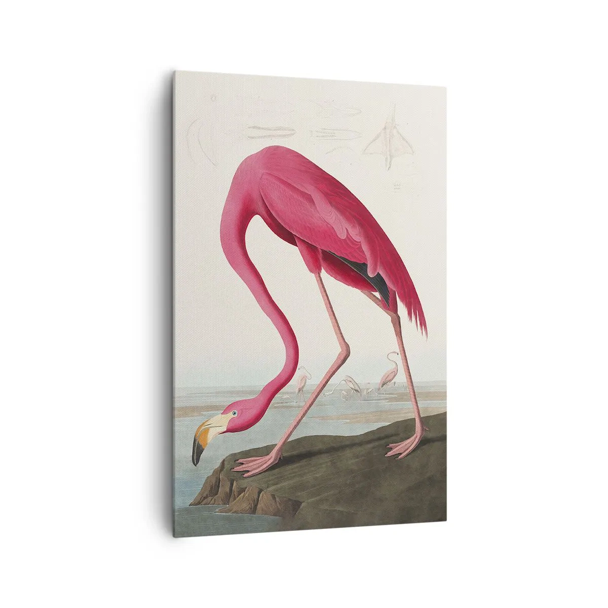 Cuadro sobre lienzo - Impresión de Imagen - Creación asombrosa - 80x120 cm