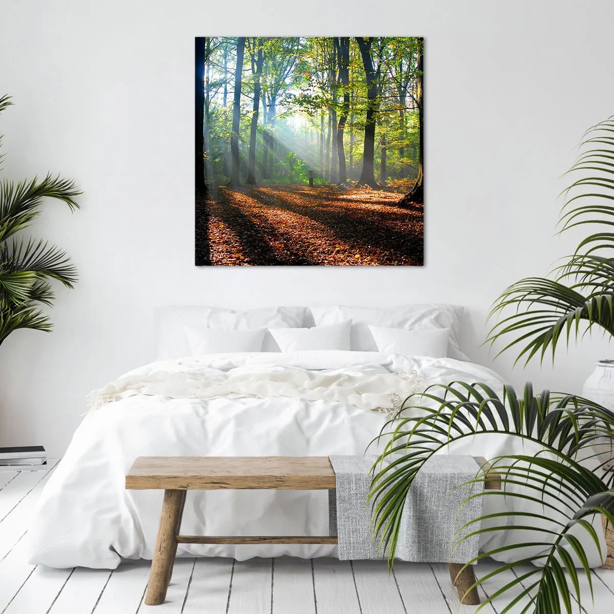 Cuadro sobre lienzo - Impresión de Imagen - Resplandores y sombras - 70x70 cm