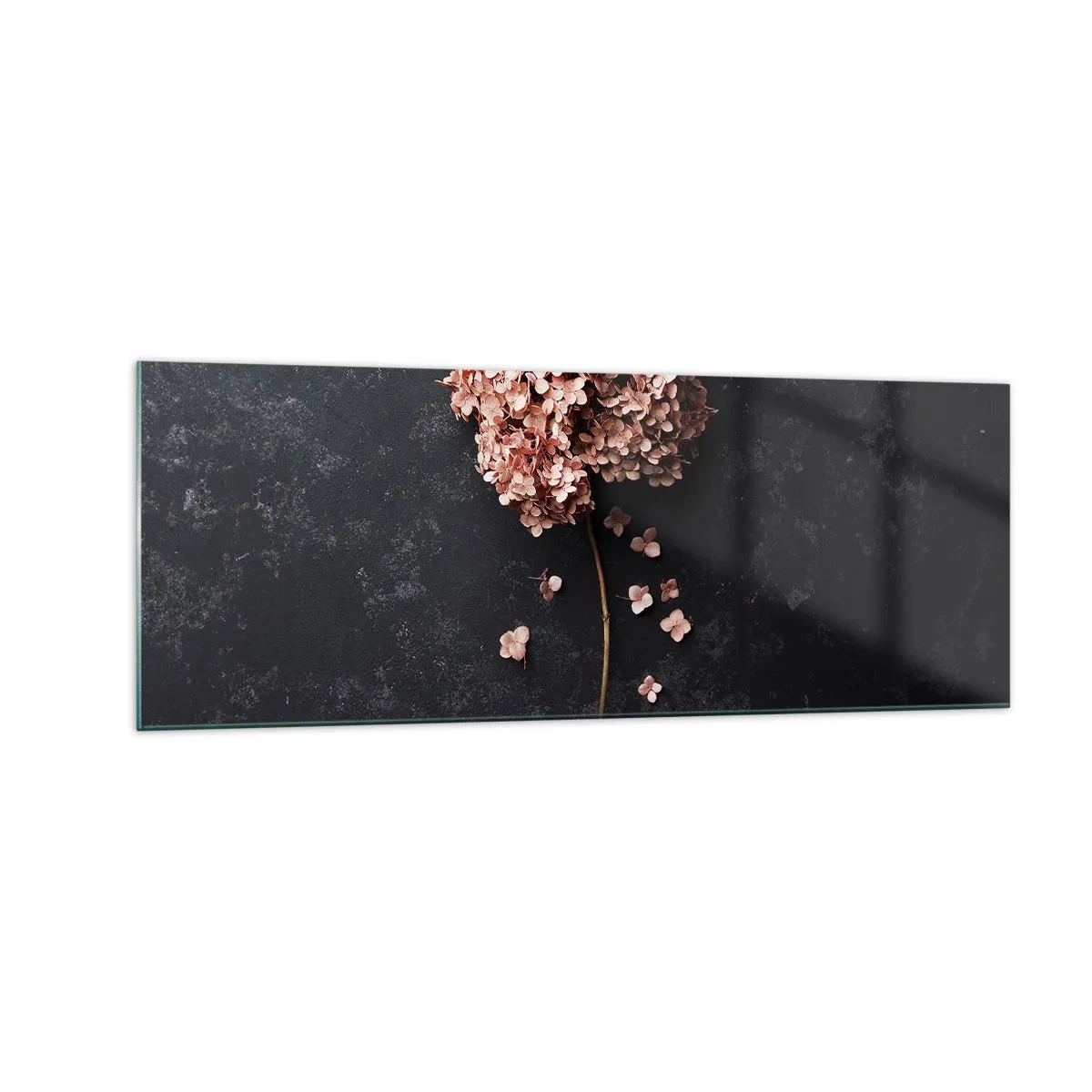Cuadro sobre vidrio - Impresiones sobre Vidrio - Una delicada flor de hortensia sobre un fondo oscuro. - 140x50cm - Un signo verdaderamente romántico - Decoración de pared moderna para salón y dormitorio ARTTOR