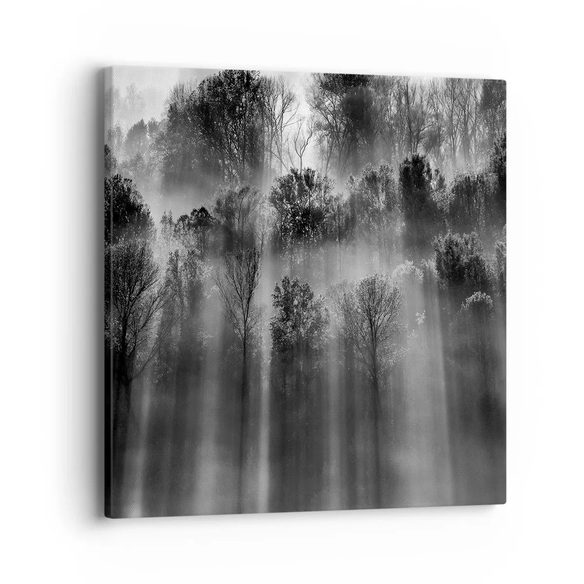 Cuadro sobre lienzo - Impresión de Imagen - En los flujos de luz - 40x40 cm