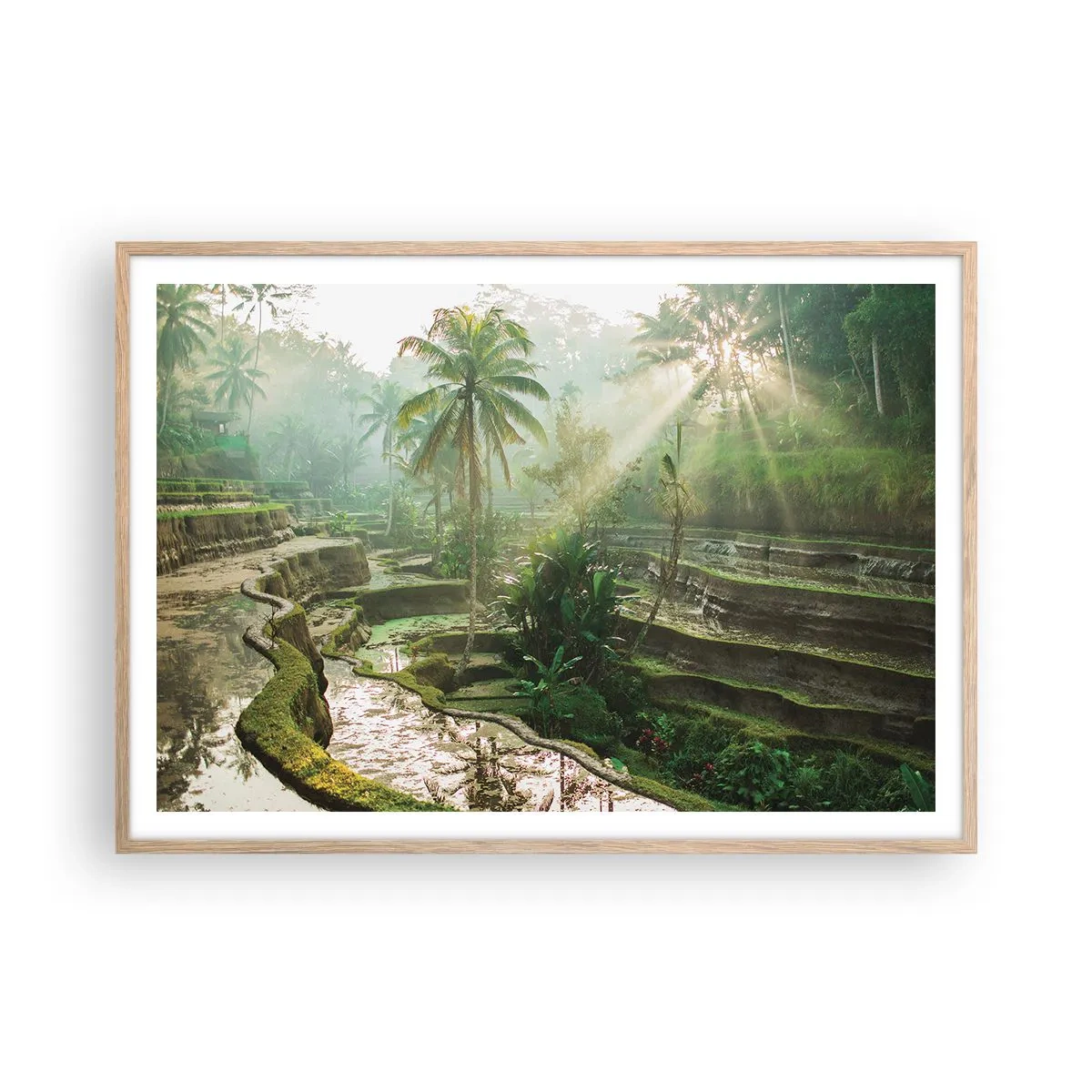 Póster en marco roble claro - Crecer bajo el sol - 100x70 cm