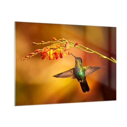 Cuadro sobre vidrio - Impresiones sobre Vidrio - Colibrí junto a flores en un resplandor dorado. - 100x70cm - Mensajero de la luz - Decoración de pared moderna para salón y dormitorio ARTTOR