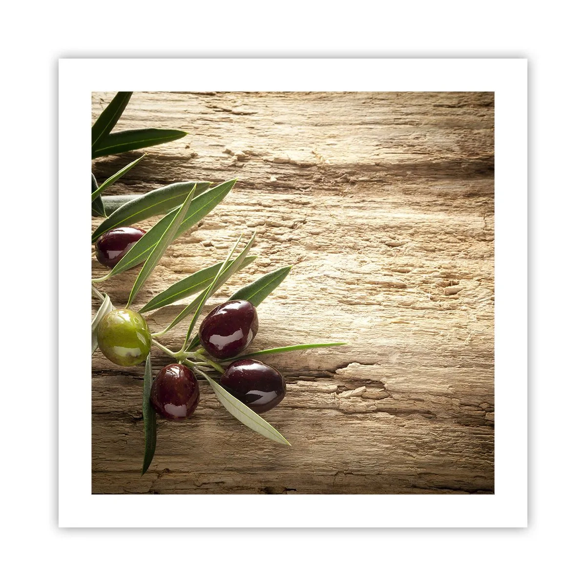 Póster - Directamente de la naturaleza - 50x50 cm