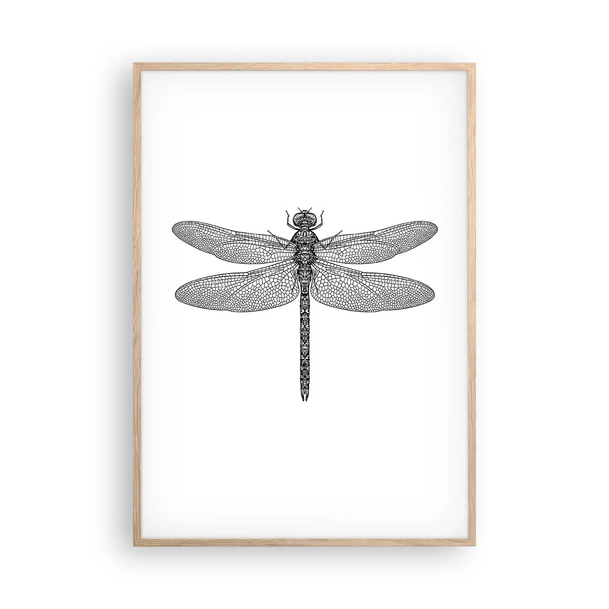 Póster en marco roble claro - Precisión de la naturaleza - 70x100 cm