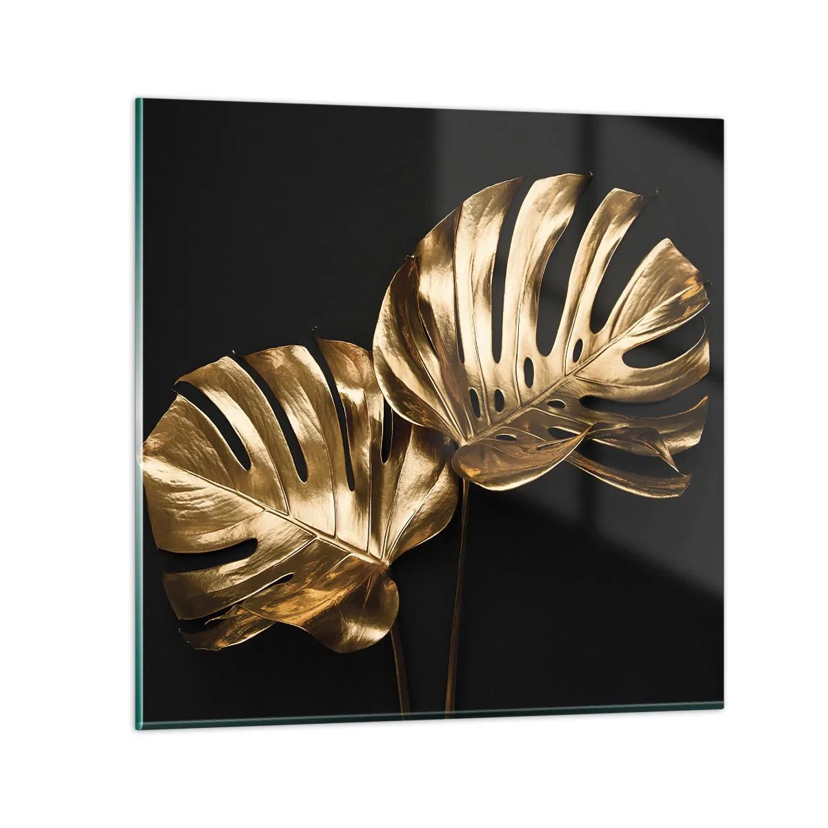 Cuadro sobre vidrio - Impresiones sobre Vidrio - Tesoros de la naturaleza - 40x40 cm