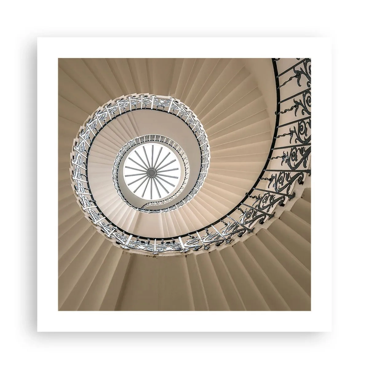 Póster - En el interior de una concha - 50x50 cm