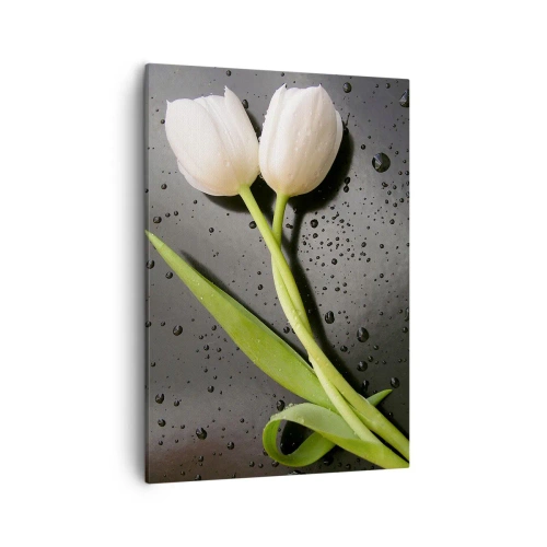 Cuadro sobre lienzo - Impresión de Imagen - Tulipanes blancos sobre fondo negro con gotas de agua. - 50x70cm - Primavera - Decoración de pared moderna para salón y dormitorio ARTTOR