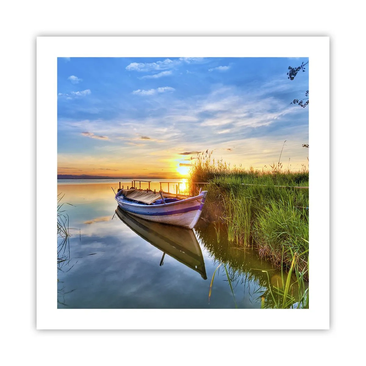 Póster - Sueños cumplidos - 50x50 cm