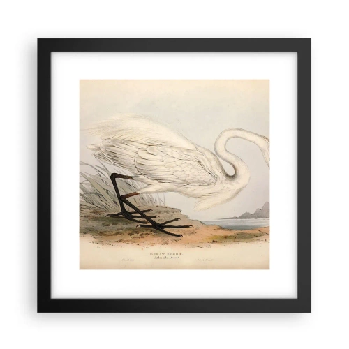 Póster en marco negro - Dama de los juncos - 30x30 cm