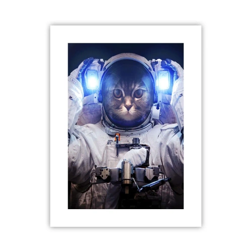 Póster - Houston, tienes un problema. - 30x40 cm