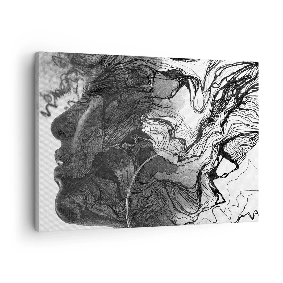 Cuadro sobre lienzo - Impresión de Imagen - Rostro abstracto en blanco y negro con líneas dinámicas. - 70x50cm - Enredada en sueños - Decoración de pared moderna para salón y dormitorio ARTTOR