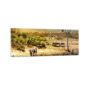 Cuadro sobre vidrio - Impresiones sobre Vidrio - Elefantes y animales salvajes en un abrevadero al atardecer - 140x50cm - Y del Edén fluyó un río... - Decoración de pared moderna para salón y dormitorio ARTTOR