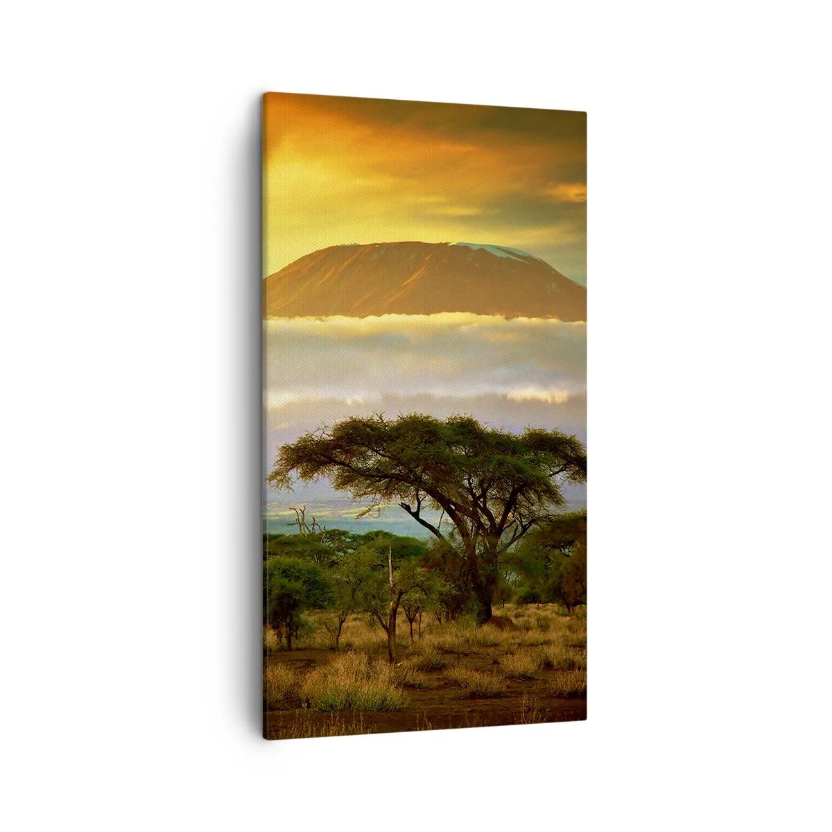 Cuadro sobre lienzo - Impresión de Imagen - El sueño del viajero - 45x80 cm