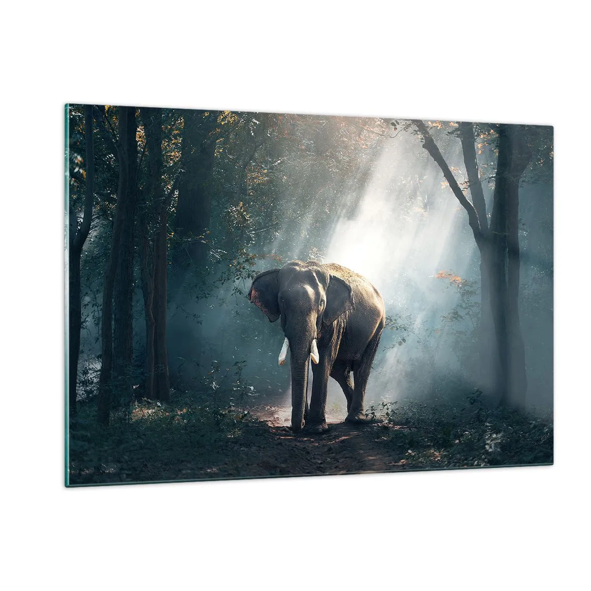Cuadro sobre vidrio - Impresiones sobre Vidrio - Un elefante caminando por el bosque con la luz del sol filtrándose entre los árboles. - 120x80cm - Un paseo tranquilo - Decoración de pared moderna para salón y dormitorio ARTTOR