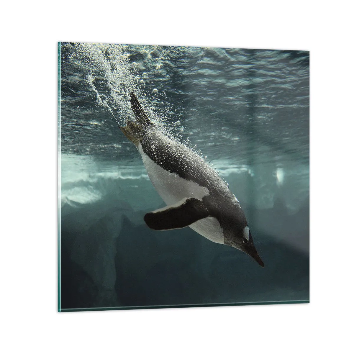 Cuadro sobre vidrio - Impresiones sobre Vidrio - Bienvenido a mi mundo - 50x50 cm