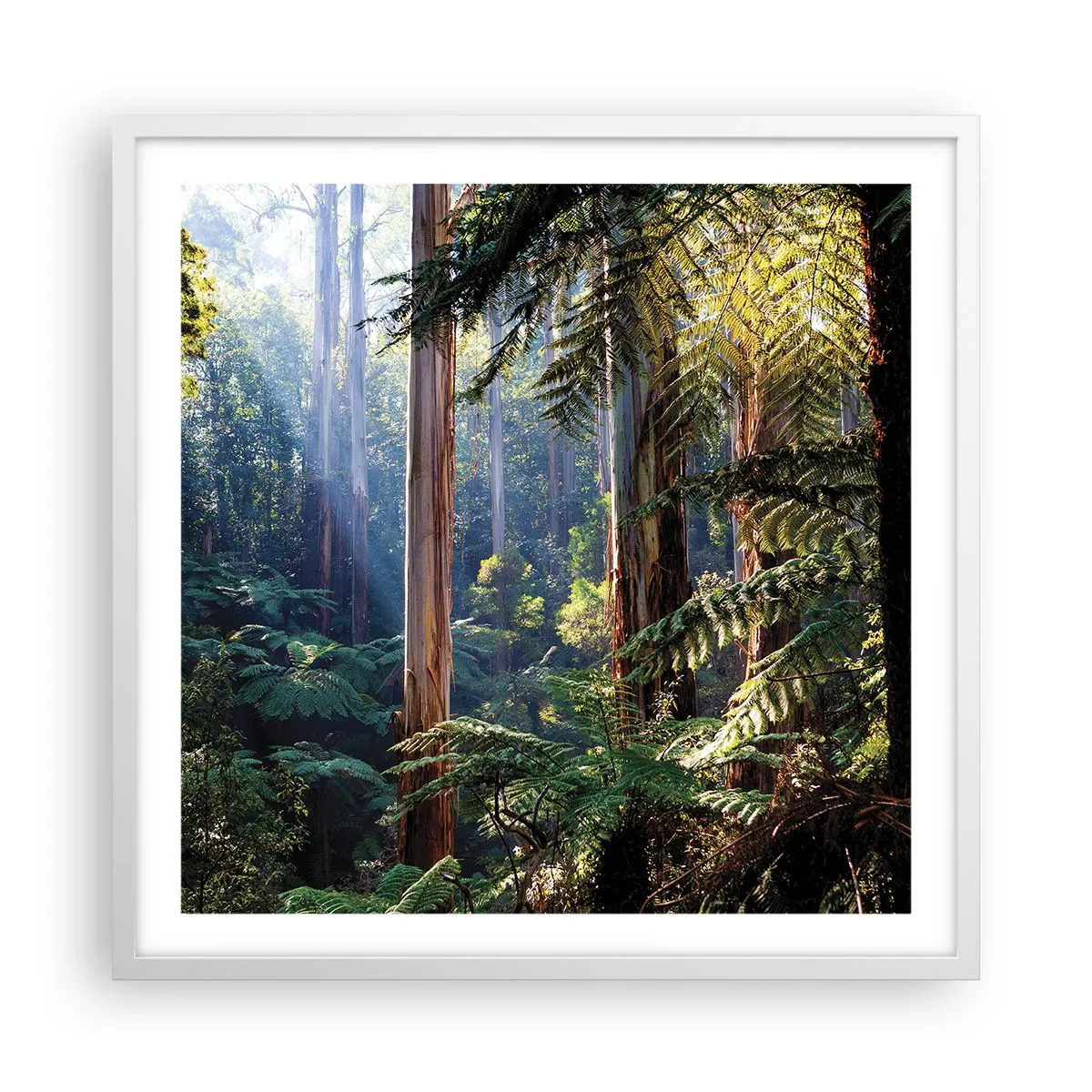 Póster en marco blanco - Un cuento de hadas del bosque - 60x60 cm