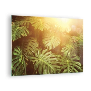 Cuadro sobre vidrio - Impresiones sobre Vidrio - Hojas verdes de monstera bajo la luz dorada del sol tropical. - 70x50cm - Hacia el verdor... - Decoración de pared moderna para salón y dormitorio ARTTOR