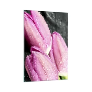 Cuadro sobre vidrio - Impresiones sobre Vidrio - Tres tulipanes rosas con gotas de agua sobre un fondo negro. - 70x100cm - Lilas sobre piedra negra - Decoración de pared moderna para salón y dormitorio ARTTOR