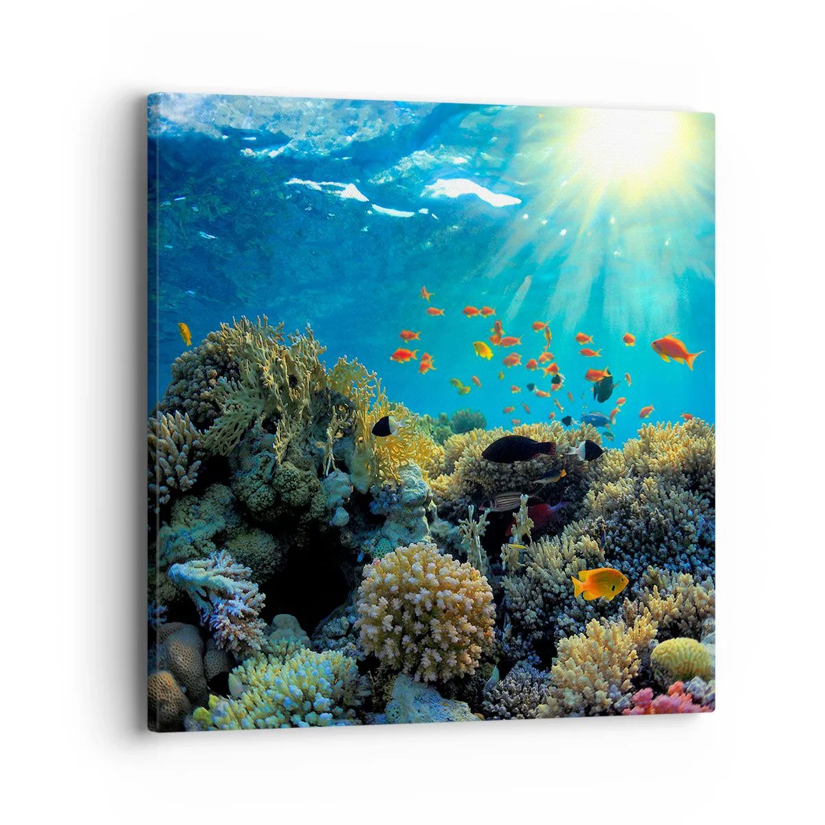 Cuadro sobre lienzo - Impresión de Imagen - Tesoros submarinos - 40x40 cm